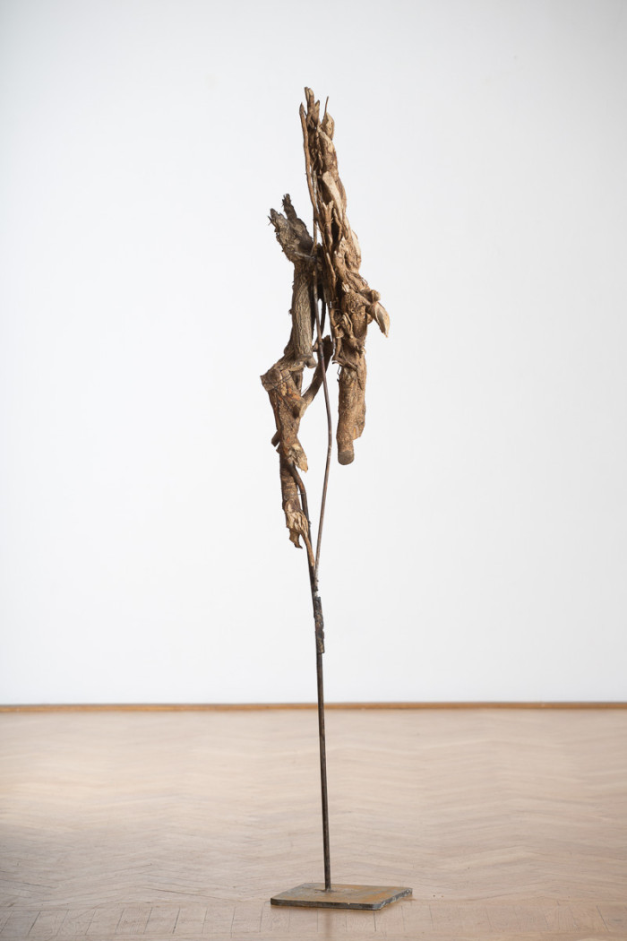 Daphne 3, iron, wood, 225 cm x 35 cm x 32 cm, 2014. photo: Walter Wetzler